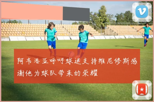 阿韦洛亚呼吁球迷支持维尼修斯感谢他为球队带来的荣耀
