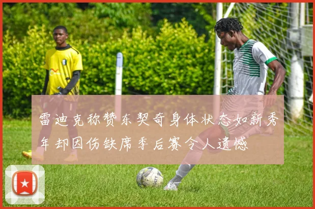 雷迪克称赞东契奇身体状态如新秀年却因伤缺席季后赛令人遗憾