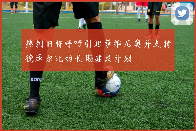 热刺旧将呼吁引进萨维尼奥并支持德泽尔比的长期建设计划